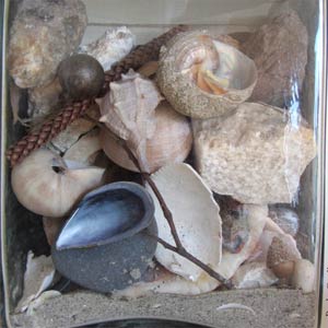 Einrichten und Wohnen - Die mobile Einrichtungs- und Wohnberatung: Wohn- und Einrichtungsideen, mediterrane Stilleben, Muscheln und Steine