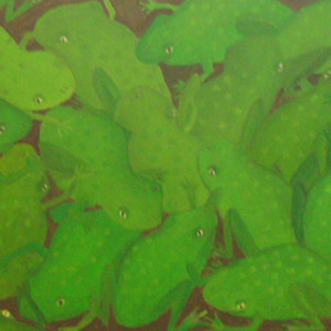 Bild frogs
