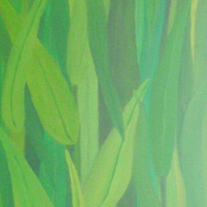 Bild grass