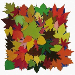 Bild Herbst