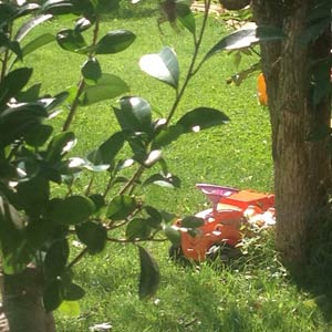 Einrichten und Wohnen - Die mobile Einrichtungs- und Wohnberatung: Projekte, Outdoor: Gartengestaltung